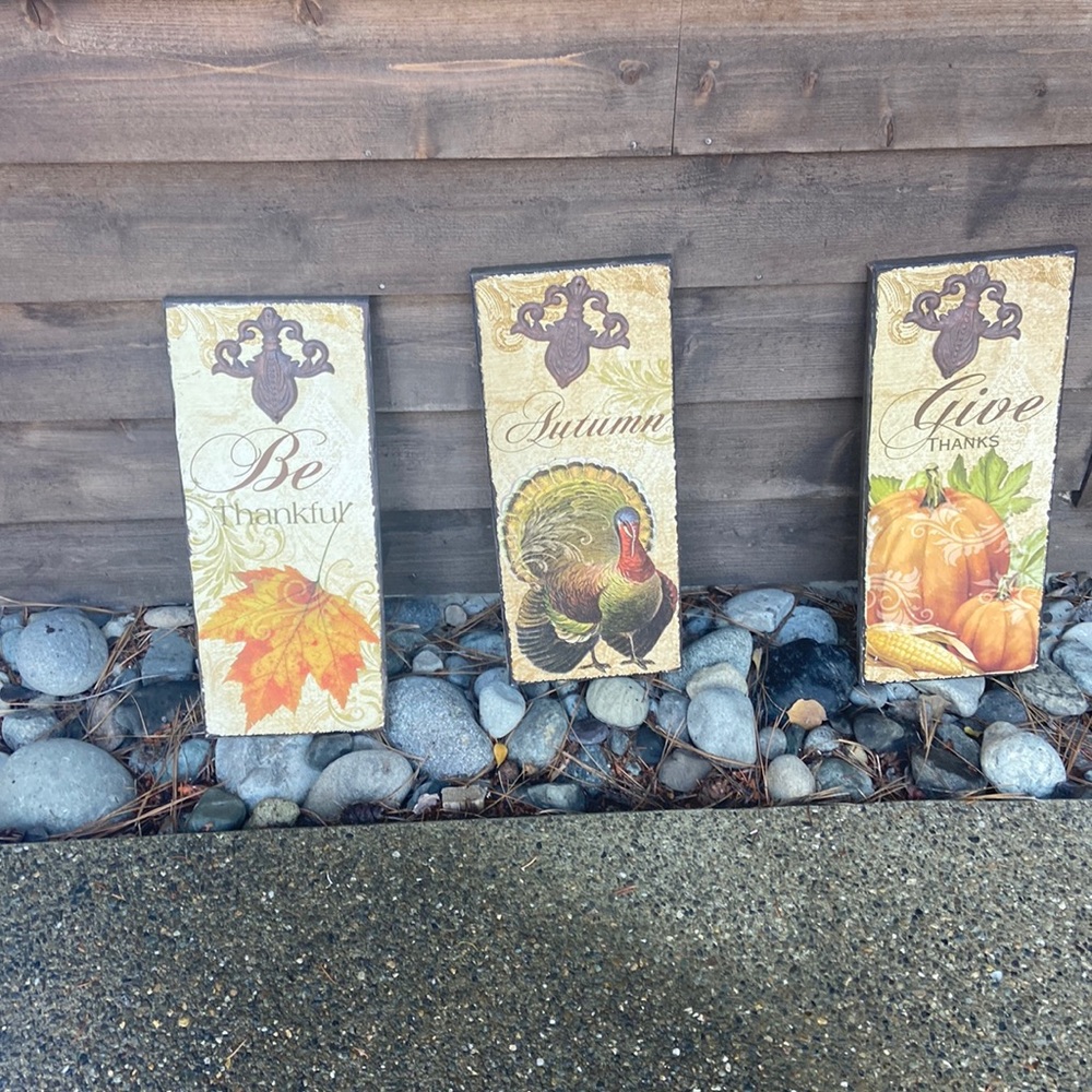 3  Thanksgiving wall pictures.    Each is 19 inches x 8 inches.
